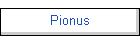 Pionus
