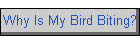 Why Is My Bird Biting?