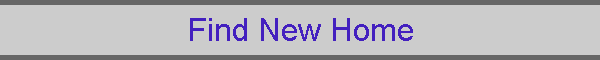 Find New Home