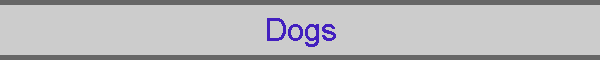 Dogs
